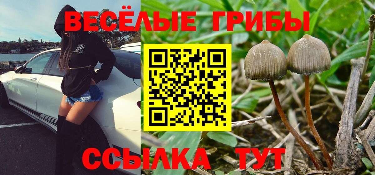 Галлюциногенные грибы мухоморы  Вход с VPN  Кинешма 
